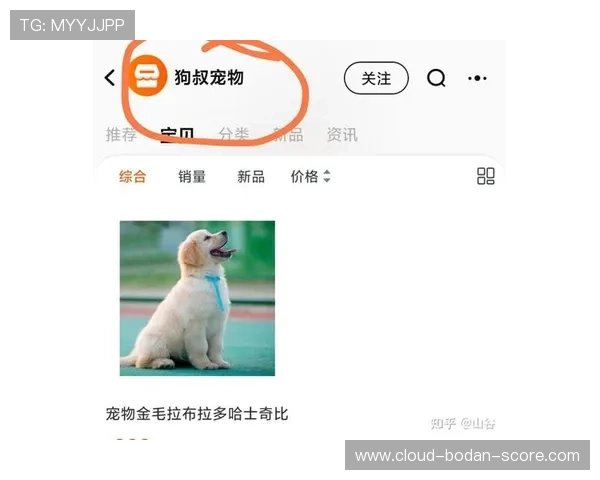 大型体育赛事预热必看篮球App防骗避坑指南